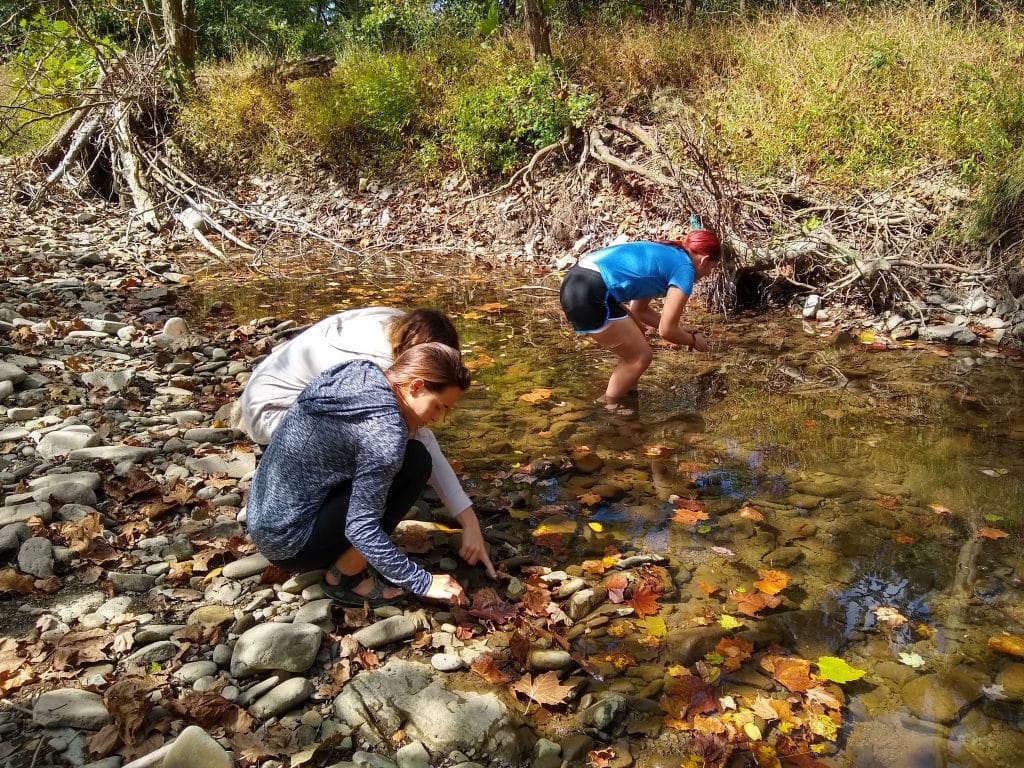 Environmental sustainability students and chemistry students on field trip to study the North Fork in Bergton, Va. Photo by Kevin Carini.