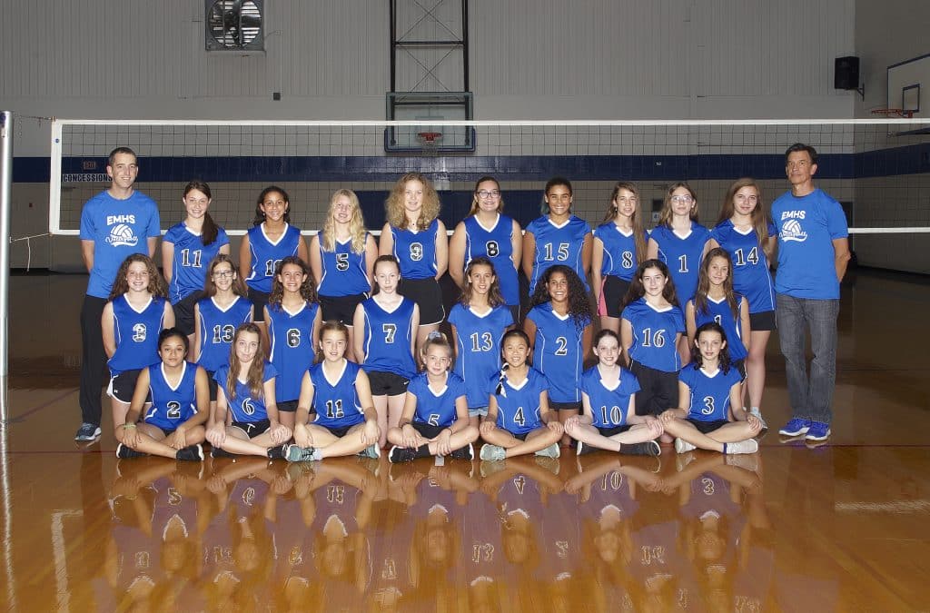 MS Volleyball 2019
