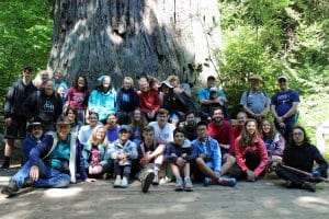 Discovery 2017, Redwood State Park, California