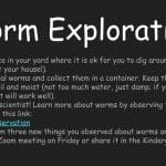 Kindergarten worm exploration activity