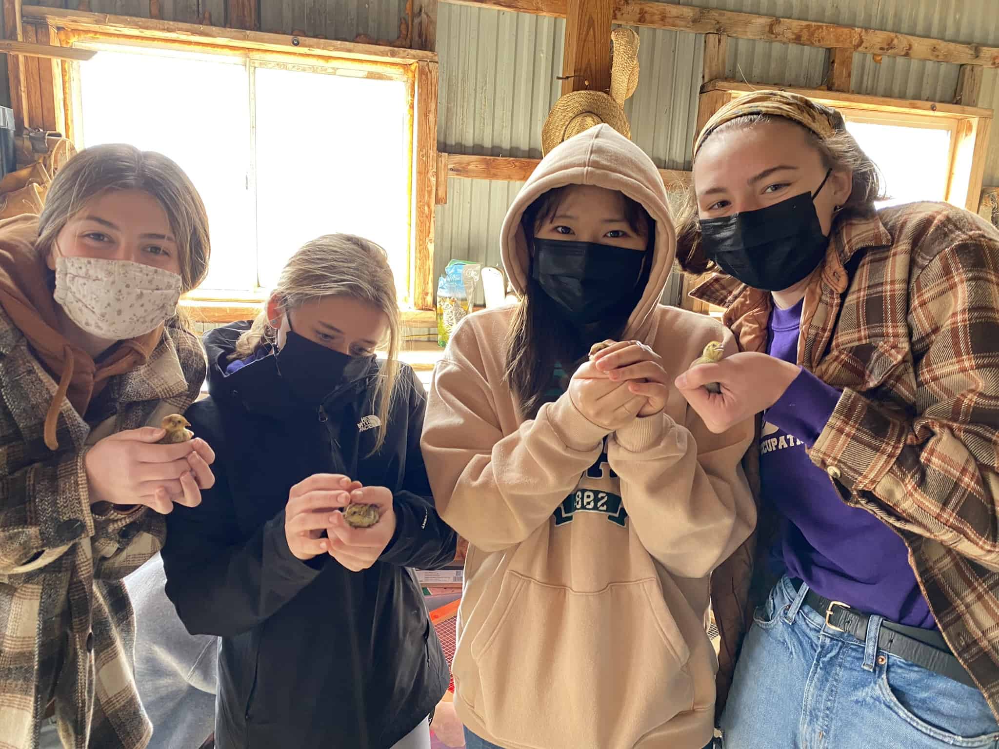 Local foods class members hold quail chicks at HomeAgain Farm.